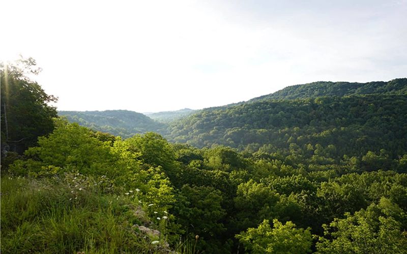 The foothills of Adams County, Ohio — the field of Foothills Reformed BP Mission